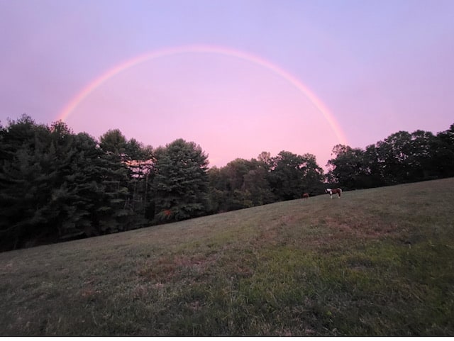 Pasture Rainbow